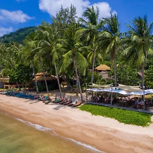 Palm Leaf Ko Tao